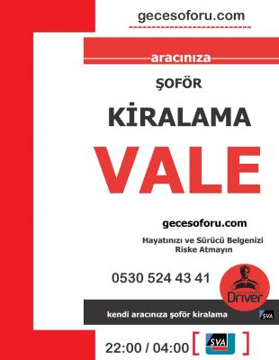 vale istanbul